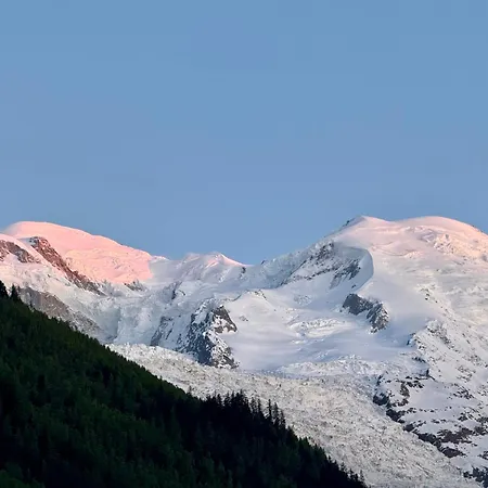 Cocon Alpin Centre Et Vue * Chamonix